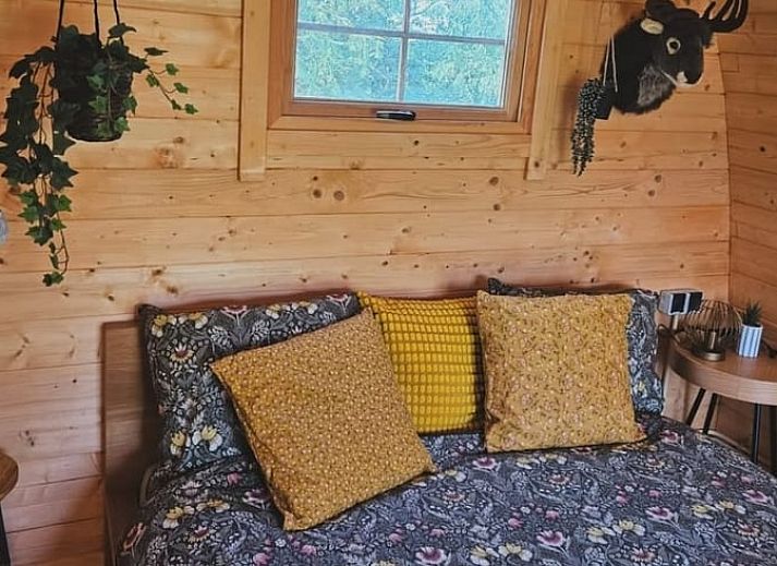 Guest house 370703 - Holiday property Midden Limburg - Vakantiehuisje in Weert