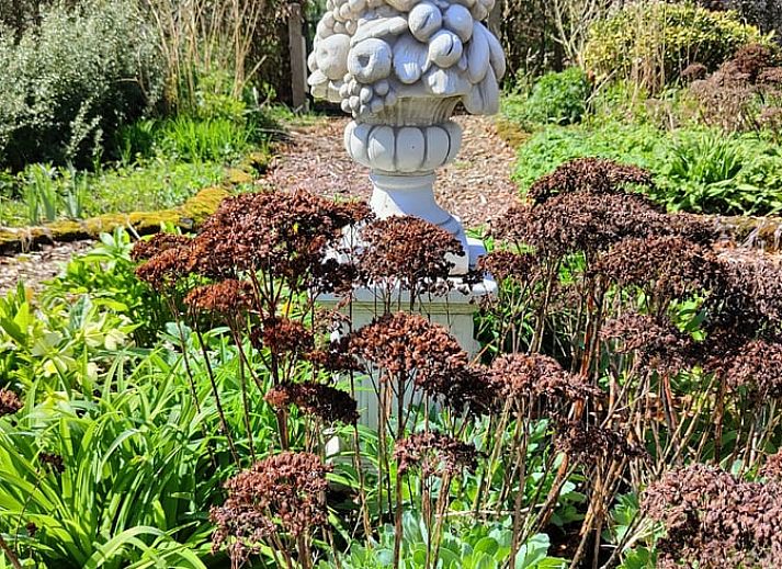 Guest house 370703 - Holiday property Midden Limburg - Vakantiehuisje in Weert