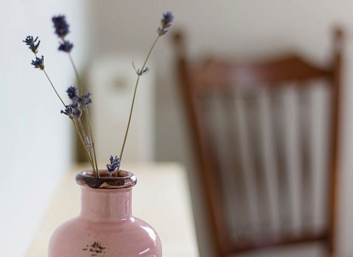 Unterkunft 370705 - Ferienhaus Midden Limburg - Huisje in Weert