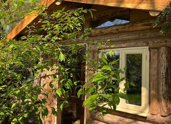 Guest house 371503 - Holiday property Midden Limburg - Vakantiehuis in Koningsbosch