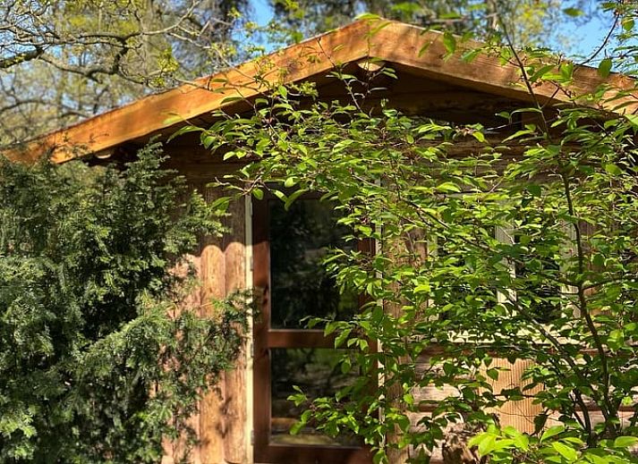 Guest house 371503 - Holiday property Midden Limburg - Vakantiehuis in Koningsbosch