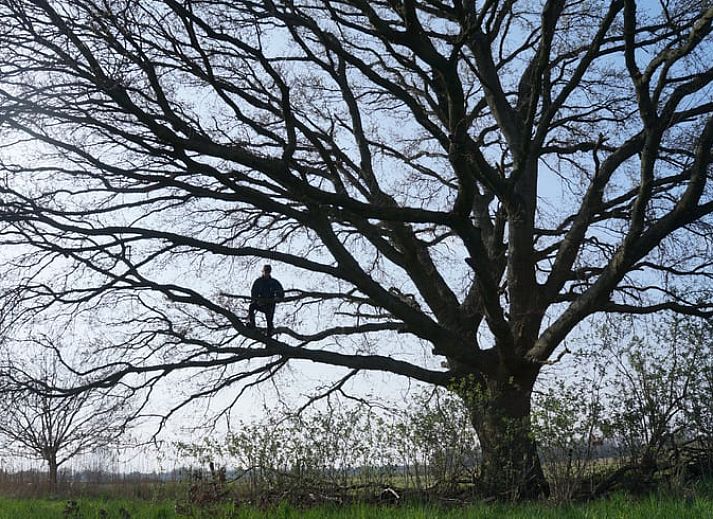 Guest house 371503 - Holiday property Midden Limburg - Vakantiehuis in Koningsbosch