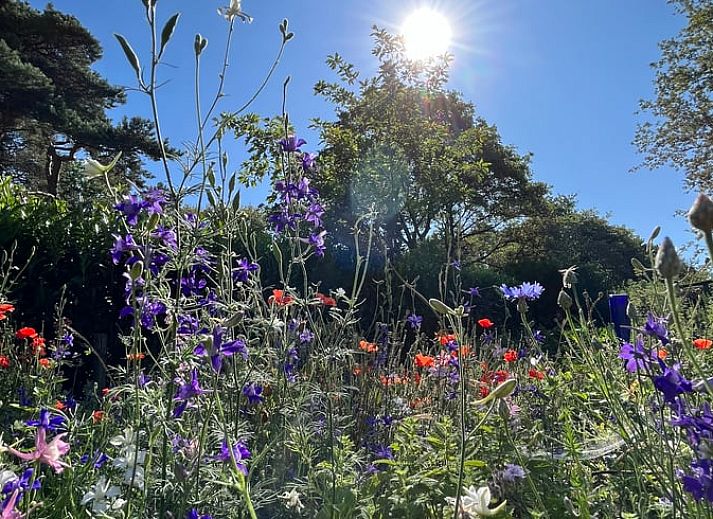 Guest house 371503 - Holiday property Midden Limburg - Vakantiehuis in Koningsbosch