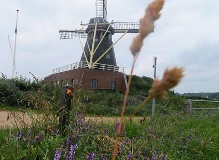 Unterkunft 371701 - Ferienhaus Midden Limburg - Vakantiehuis in Asselt - Swalmen (Roermond)