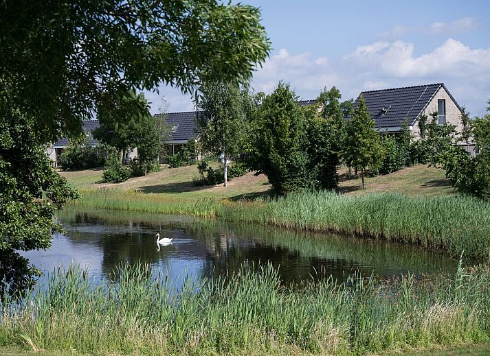 Verblijf 372215 • Vakantiewoning Midden Limburg • Tuinvilla | 2-6 Pers 