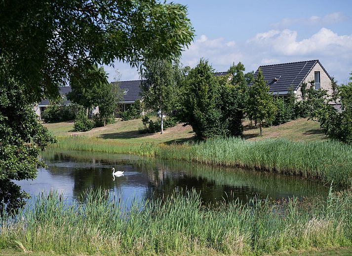 Unterkunft 372215 • Ferienhaus Midden Limburg • Dalvik 4 Wellness