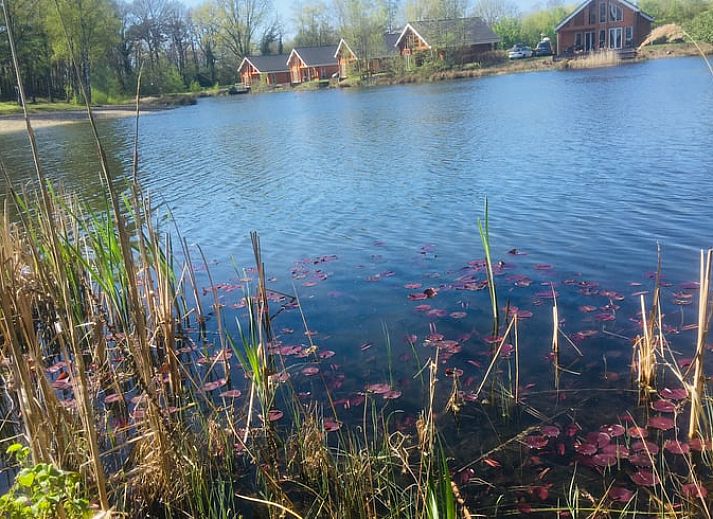 Vorderseite von Huisje in Heel, Ferienhaus in Mittellimburg, Limburg.