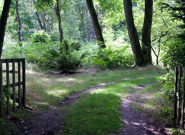 Verblijf 372302 - Vakantiewoning Midden Limburg - Vakantiehuis in Vlodrop