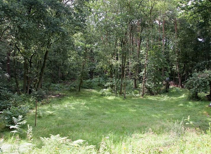 Verblijf 372302 - Vakantiewoning Midden Limburg - Vakantiehuis in Vlodrop