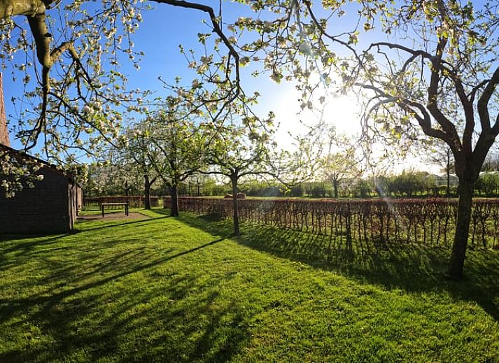 Aerial view of Holiday Home in Roggel, surrounded by lush nature in Central Limburg.