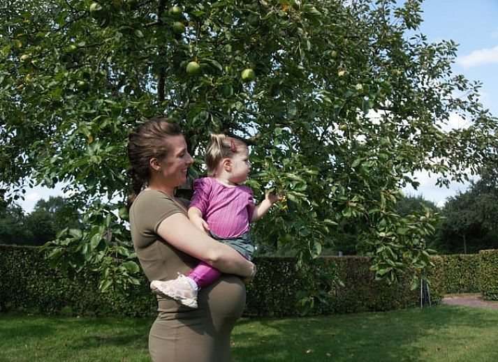 Aerial view of Holiday Home in Roggel, surrounded by lush nature in Central Limburg.