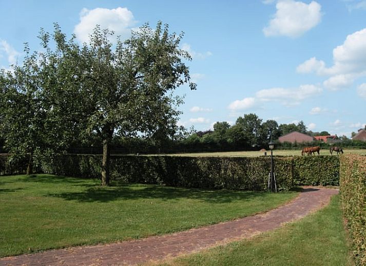 Terrace at Holiday home in Roggel, ideal for outdoor dining in green Limburg.