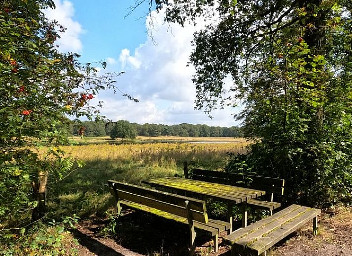 Terrace at Holiday home in Roggel, ideal for outdoor dining in green Limburg.