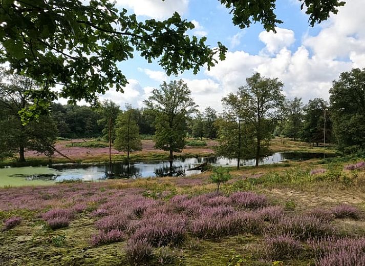 Terrace at Holiday home in Roggel, ideal for outdoor dining in green Limburg.
