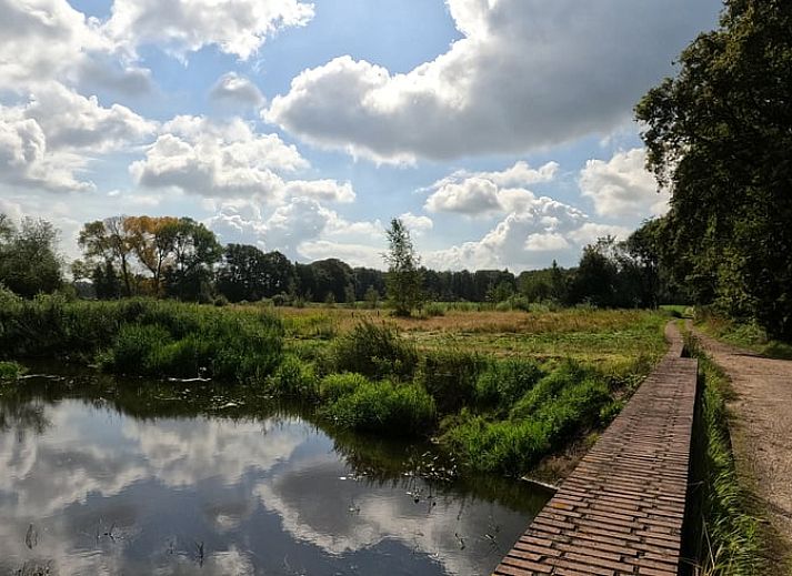 Terrace at Holiday home in Roggel, ideal for outdoor dining in green Limburg.