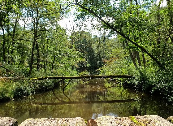 Mother and child enjoy nature at Holiday Home in Roggel, Limburg.