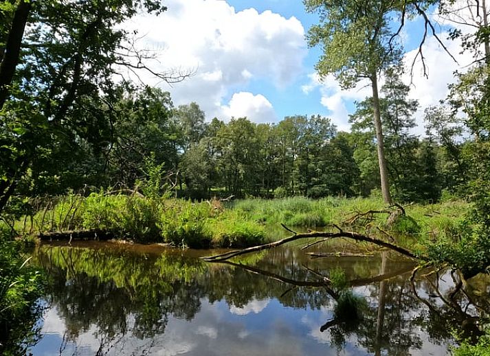 Mother and child enjoy nature at Holiday Home in Roggel, Limburg.