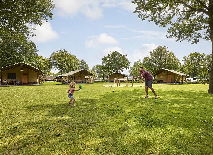 Unterkunft 372414 - Zelthaus Midden Limburg - Safari Tent