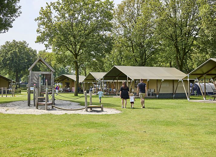 Unterkunft 372414 - Zelthaus Midden Limburg - Safari Tent