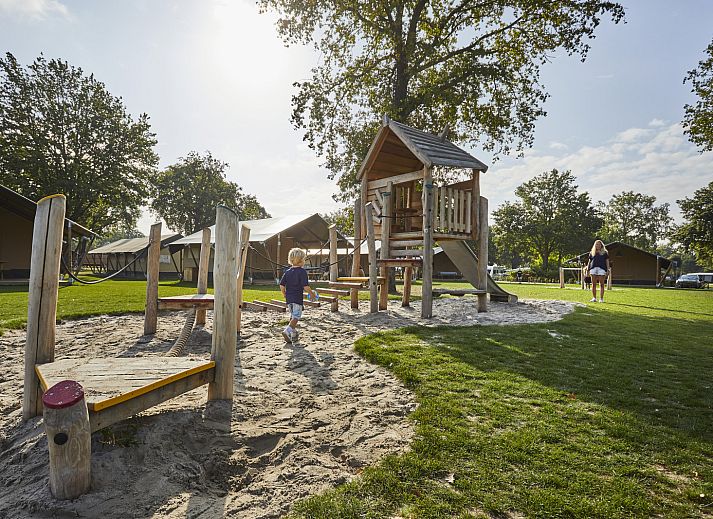 Unterkunft 372414 - Zelthaus Midden Limburg - Safari Tent