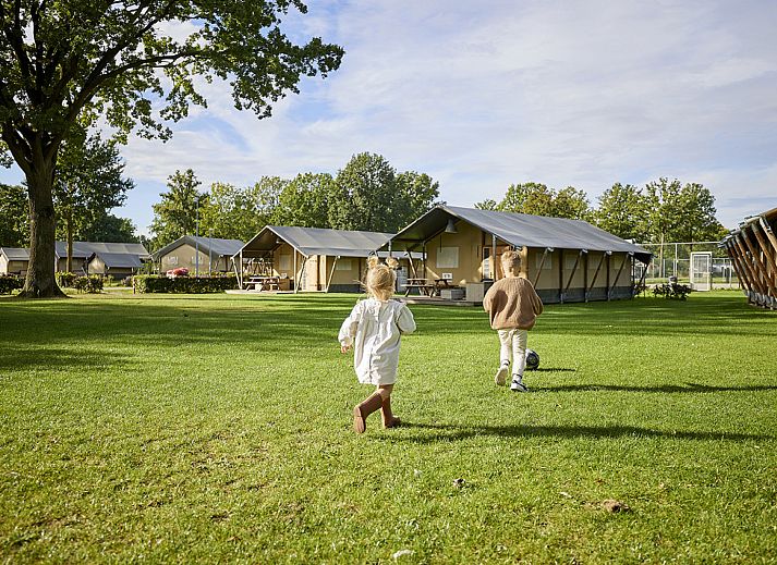 Guest house 372415 - Tent house Midden Limburg - Glamping Tent Comfort