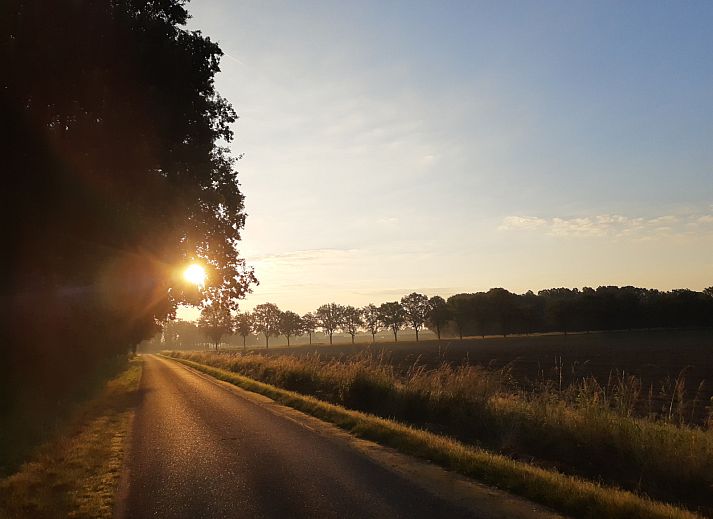 Unterkunft 372422 - Ferienhaus Midden Limburg - L131
