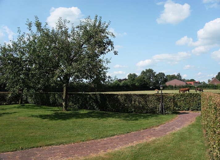 Unterkunft 372422 - Ferienhaus Midden Limburg - L131