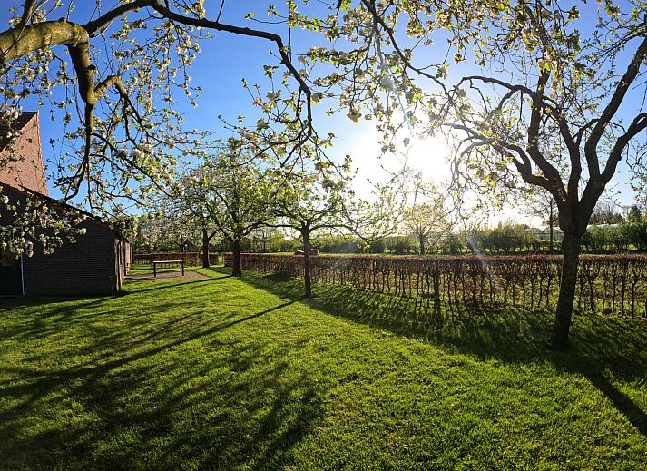 Unterkunft 372422 - Ferienhaus Midden Limburg - L131