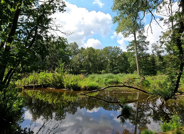 Unterkunft 372422 - Ferienhaus Midden Limburg - L131