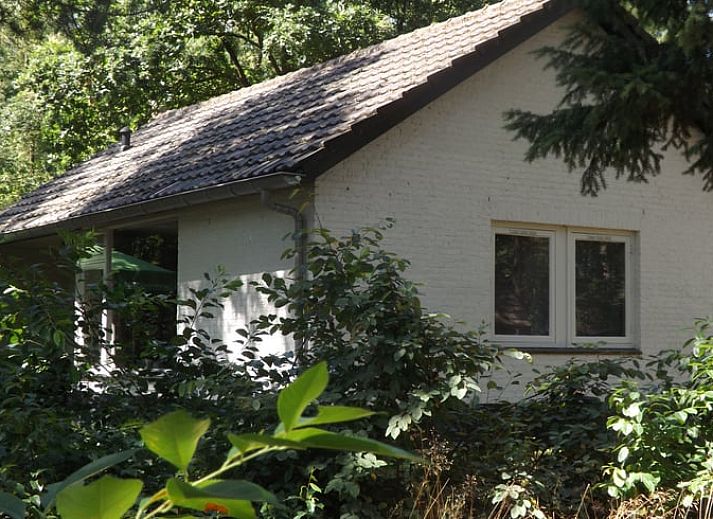 Verblijf 372605 • Vakantiewoning Midden Limburg • Vakantiehuis in Stramproy