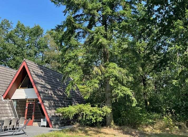 Cottage in Stramproy, Central Limburg with charming architecture surrounded by nature.