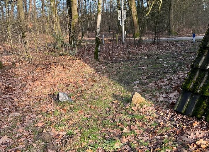 Cozy living room in Holiday home in Stramproy, Limburg with access to terrace.