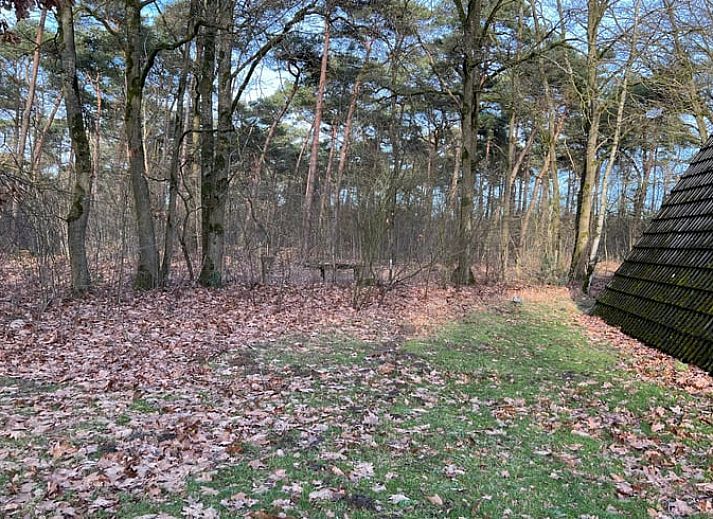 Indoor area of Holiday Home in Stramproy, Limburg overlooking green garden.