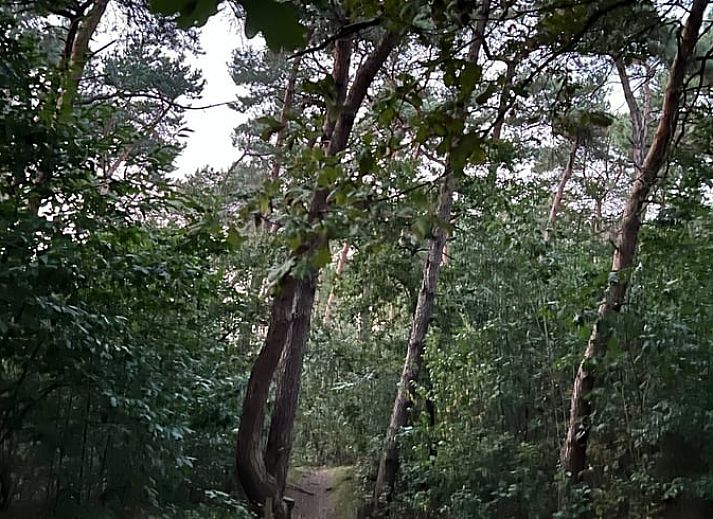 Indoor area of Holiday Home in Stramproy, Limburg overlooking green garden.