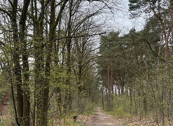 Dining area in Holiday home in Stramproy, Central Limburg with access to terrace.
