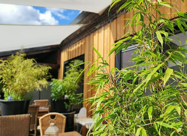 Guest house 372612 • Holiday property Midden Limburg • Vakantiehuis in Stramproy