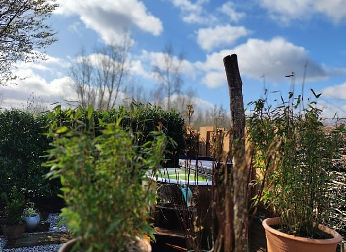 Unterkunft 372612 - Ferienhaus Midden Limburg - Vakantiehuis in Stramproy