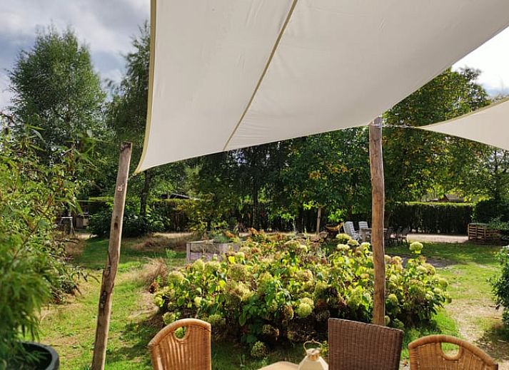 Unterkunft 372612 - Ferienhaus Midden Limburg - Vakantiehuis in Stramproy