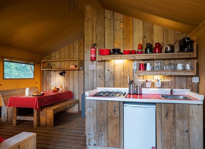Guest house 372618 - Tent house Midden Limburg - Farmtent