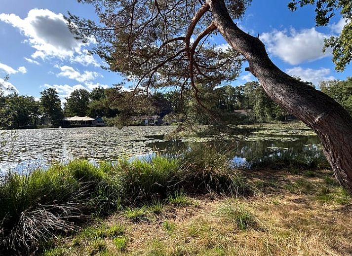 Vacation home in Stramproy, Central Limburg, surrounded by nature with sunny terrace and modern architecture.