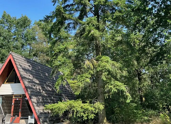 Unterkunft 372631 - Ferienhaus Midden Limburg - Boszicht