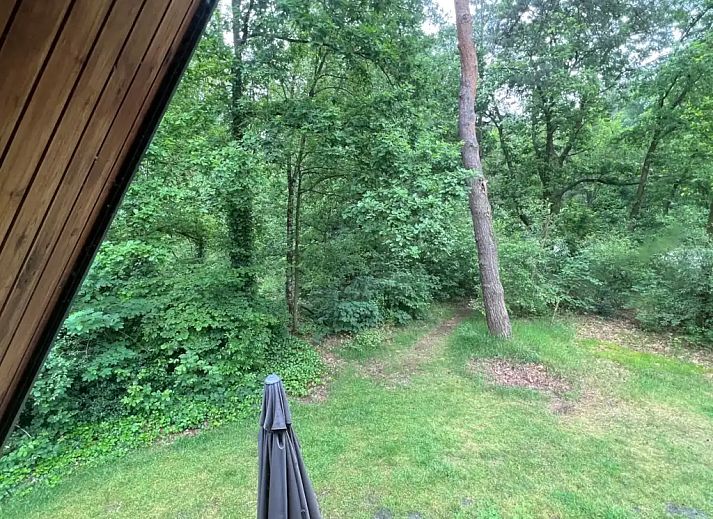 Guest house 372636 - Holiday property Midden Limburg - Vosseven 87 Muurbloem