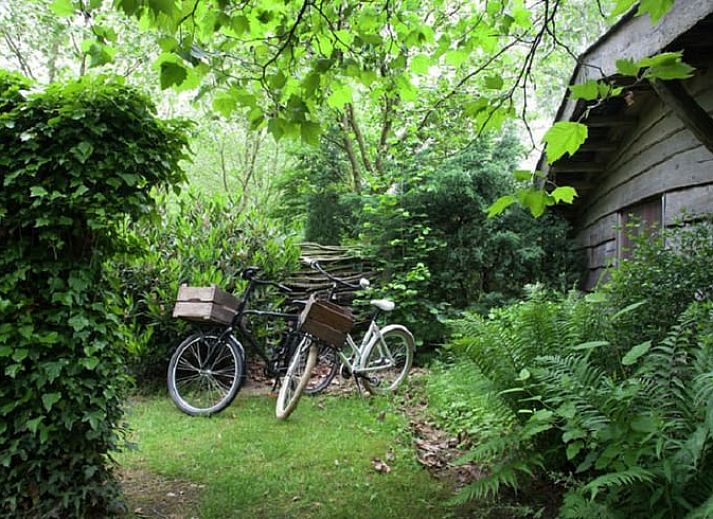 Geniet van de rust op de houten veranda van Huisje in Leudal, een sfeervol vakantiehuis in het groene Leudal, Midden Limburg.