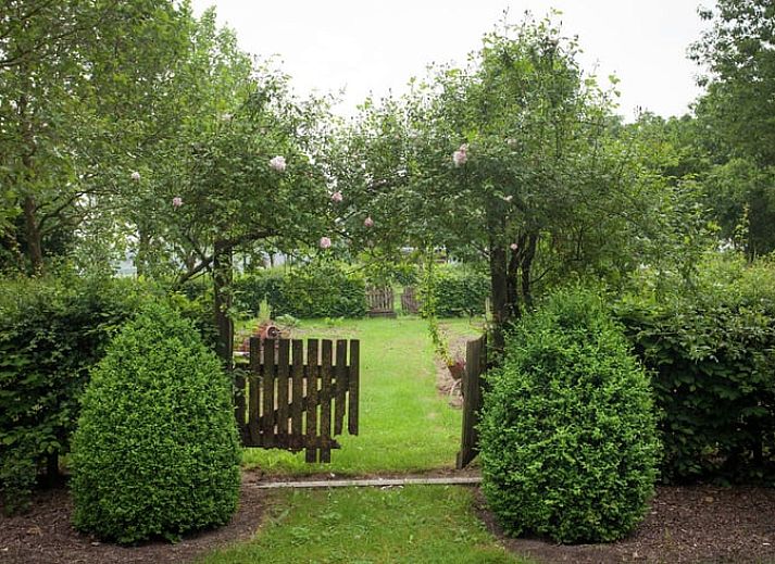 Gezellige woonkamer in Huisje in Leudal, vakantiehuis in Midden Limburg. Warme inrichting met houtkachel en comfortabele zitruimte.