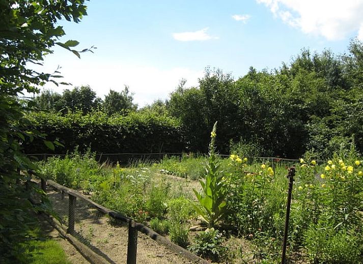 Gezellige woonkamer in Huisje in Leudal, vakantiehuis in Midden Limburg. Warme inrichting met houtkachel en comfortabele zitruimte.