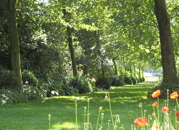 Gezellige woonkamer in Huisje in Leudal, vakantiehuis in Midden Limburg. Warme inrichting met houtkachel en comfortabele zitruimte.
