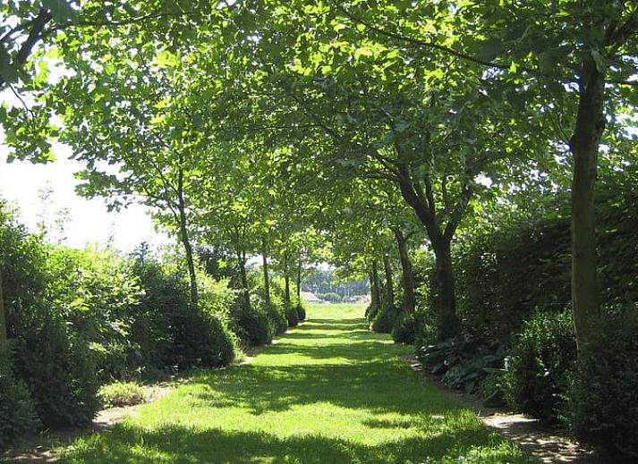 Gezellige woonkamer in Huisje in Leudal, vakantiehuis in Midden Limburg. Warme inrichting met houtkachel en comfortabele zitruimte.