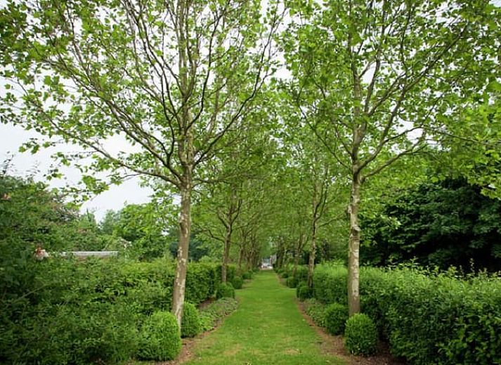 Gezellige zithoek met houtkachel in Huisje in Leudal, een charmant vakantiehuis in het hart van Midden Limburg, omringd door rustieke details.