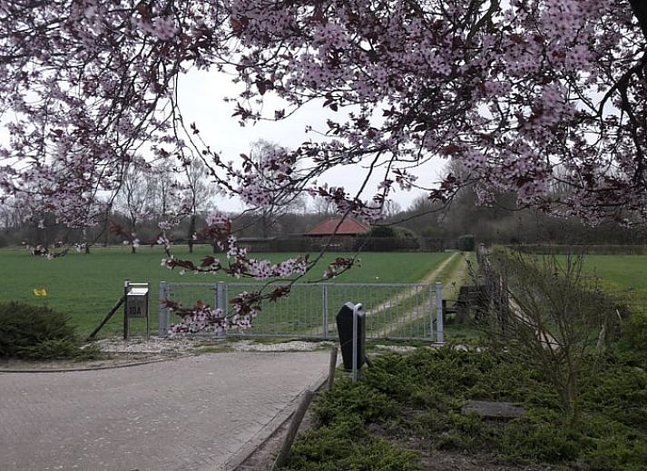 Geraeumiges Wohnzimmer im Ferienhaus in Susteren, Limburg, perfekt fuer Entspannung und Gemuetlichkeit.