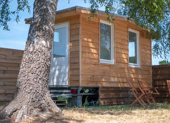 Guest house 373123 • Holiday property Midden Limburg • Vakantiehuisje in Susteren 